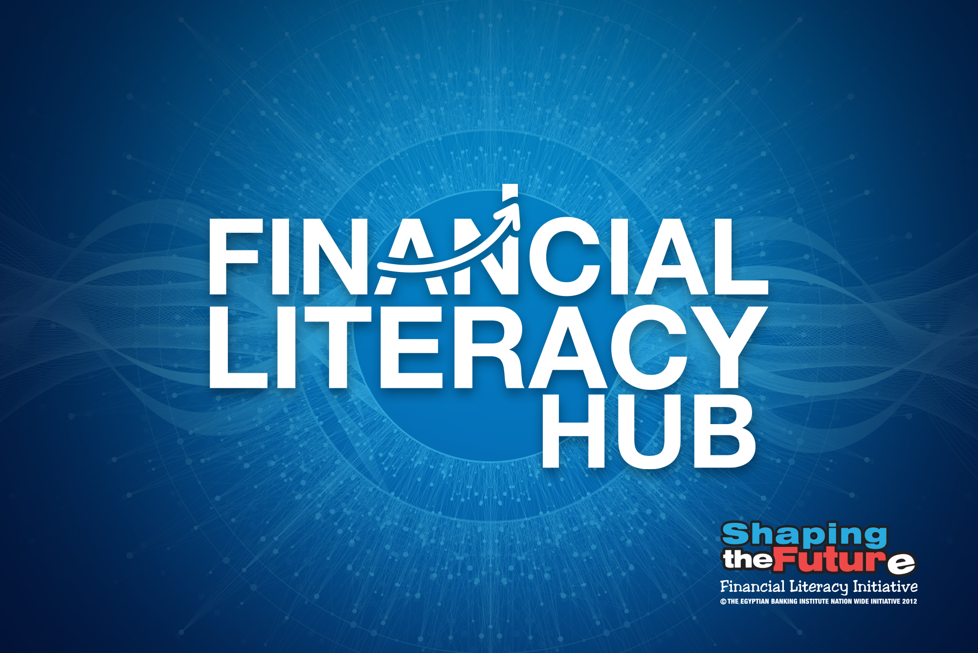 Financial Literacy Hub